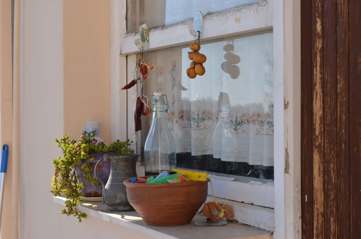 Growing Herbs on a North-Facing Windowsill: A Beginner's Guide